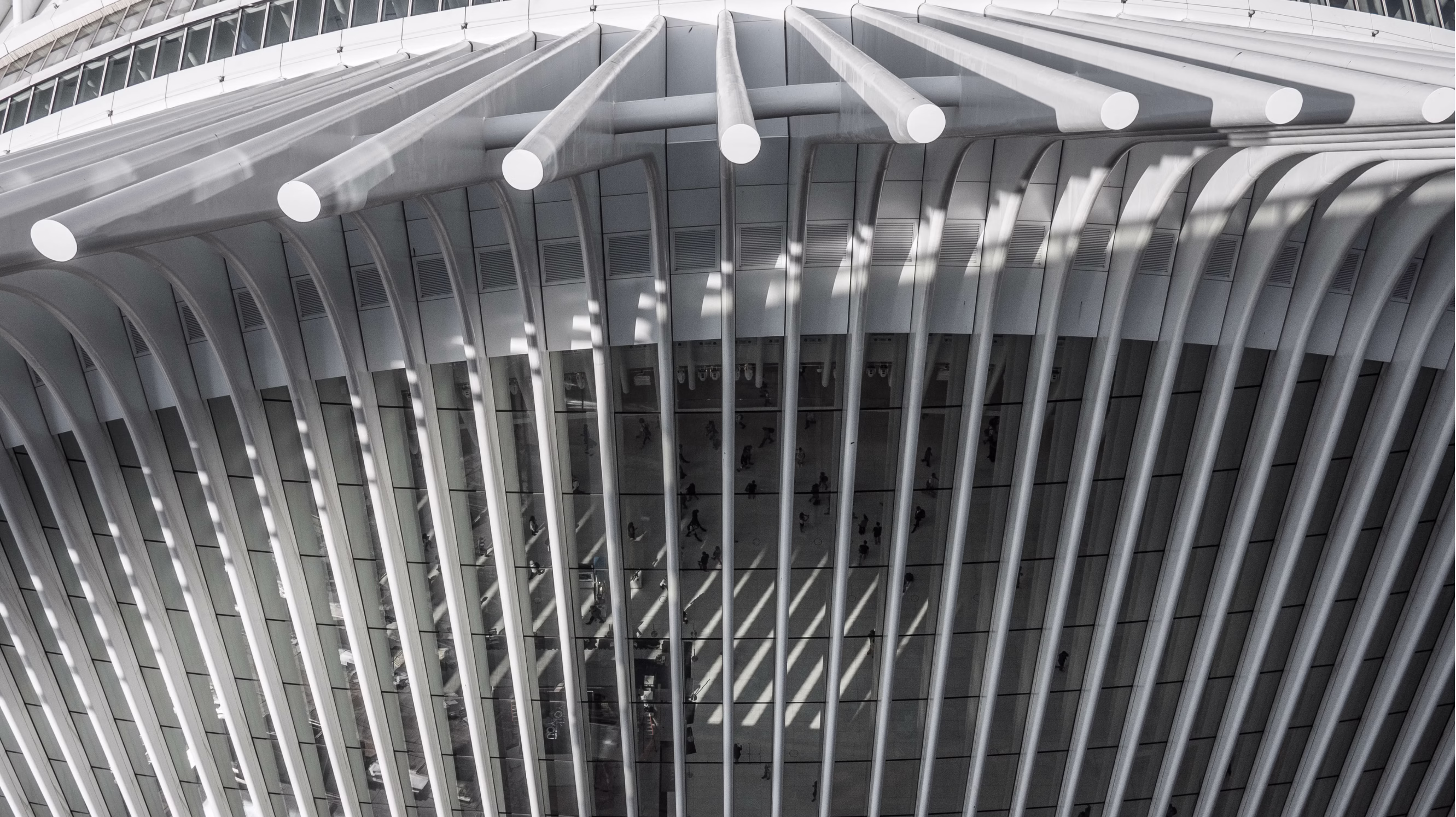 Oculus editorial black white still