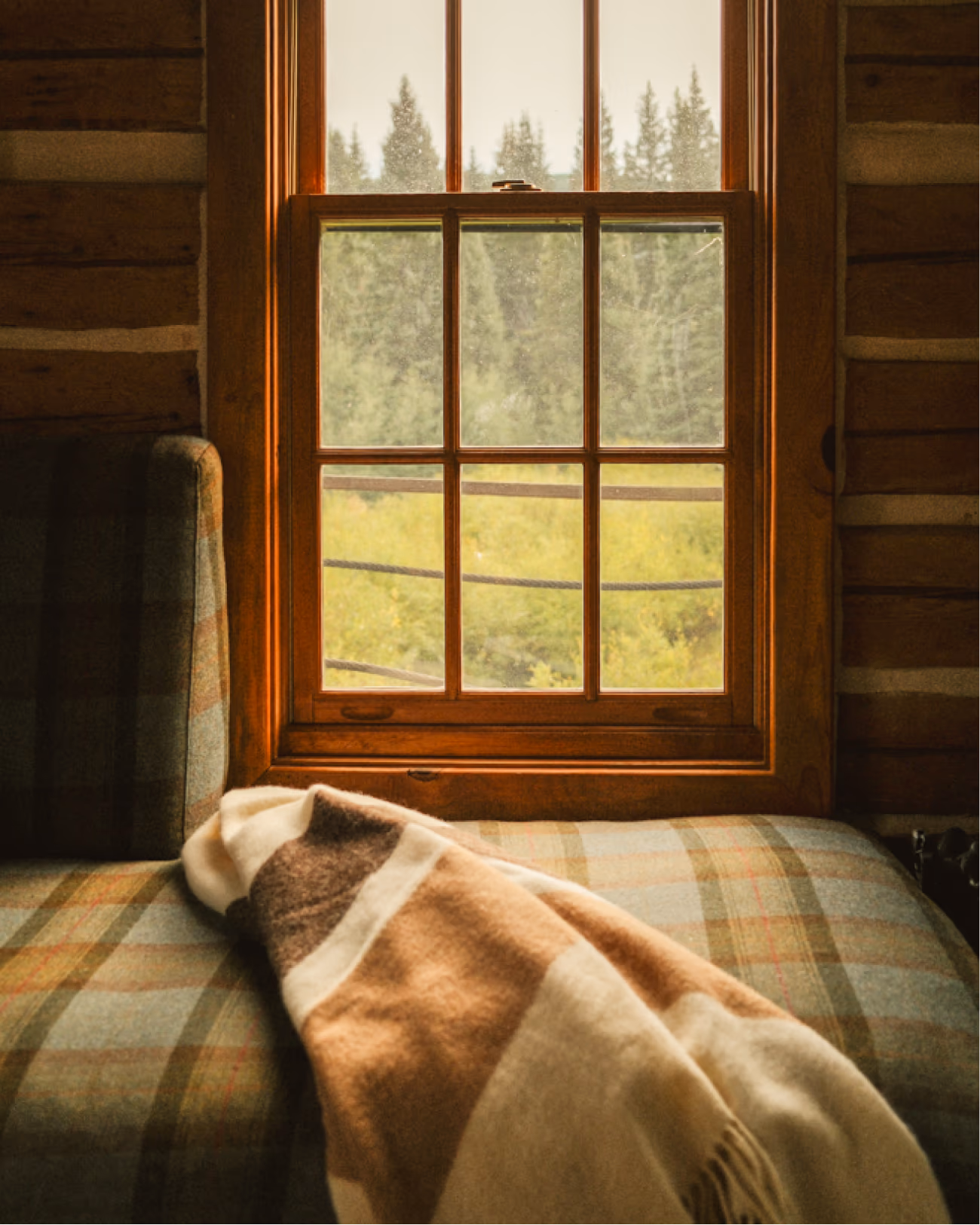 Window light detail