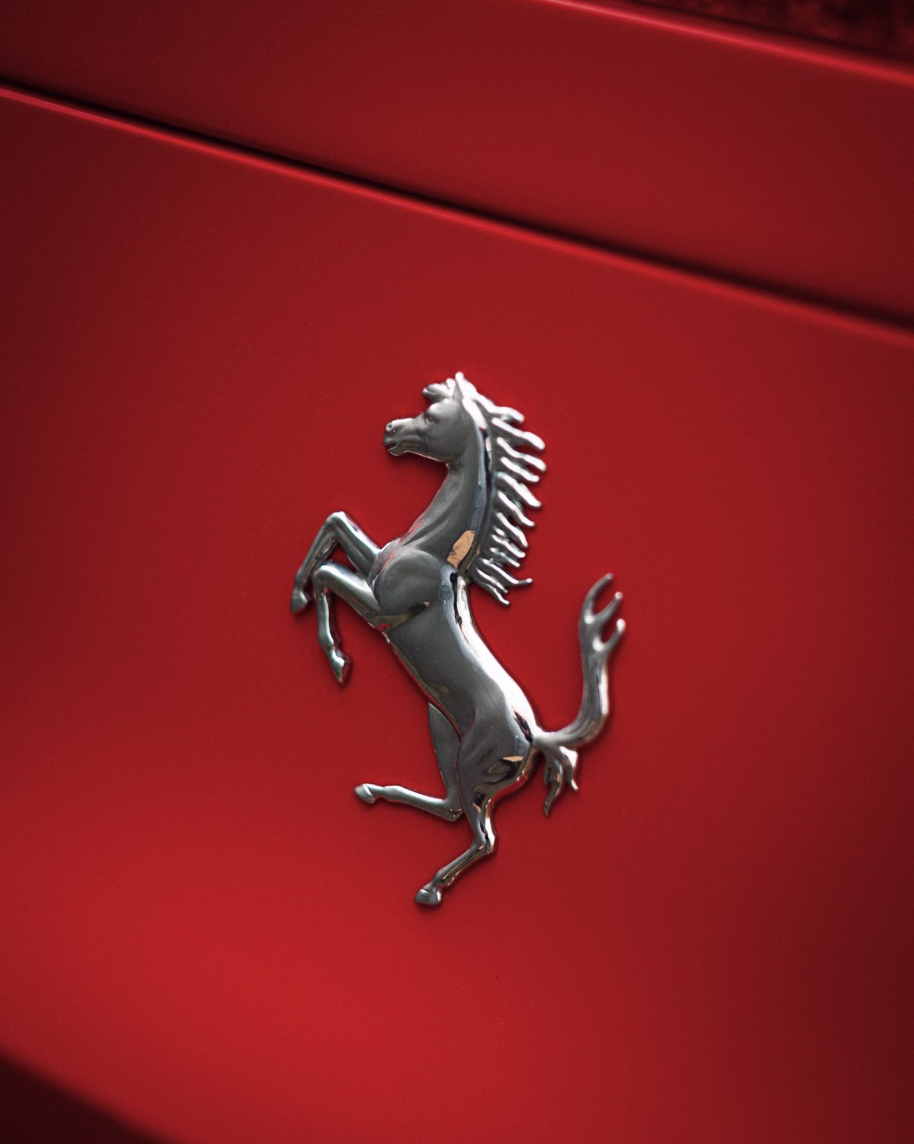 Editorial logo detail capture
