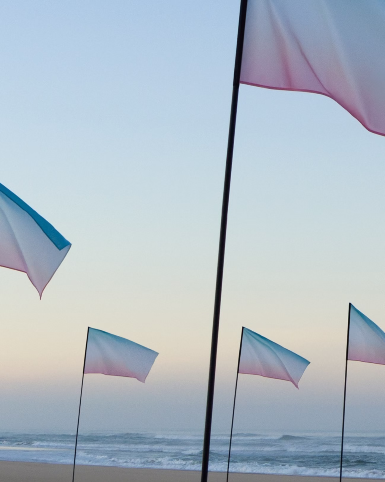 France flag installation still